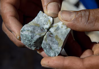 интересы этих фирм