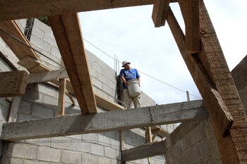 Утрата растительного покрова