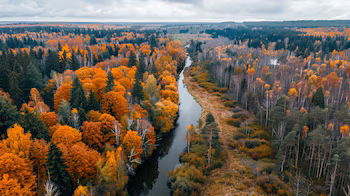 (Иллюстративное изображение)