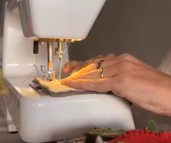 Исключение укрепляет Республику