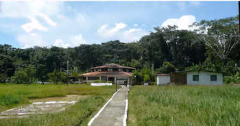 Панорамный вид на военный объект с главным зданием с коричневой крышей, окруженным двумя небольшими зданиями, бетонной дорожкой и пышной растительностью.