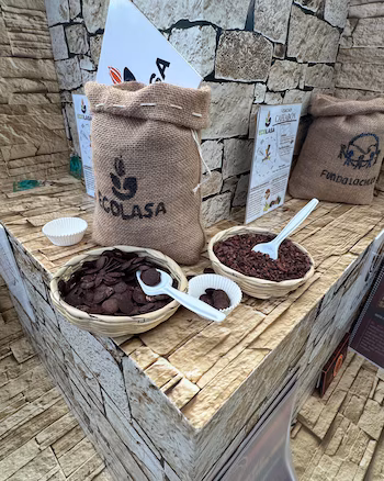 Витрина с какао на стенде с джутовыми пакетами, корзинами с перьями и шоколадной крошкой, белыми ложками и информационными табличками.