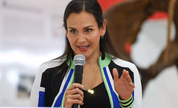 Министр энергетики Инес Мансано - кредит EFE