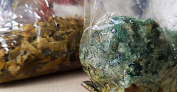 Проект UNED включает остатки обрезки и побочные продукты сельского хозяйства из разных регионов страны, превращая ранее выброшенные отходы в добавленную стоимость. С разрешения: UNED